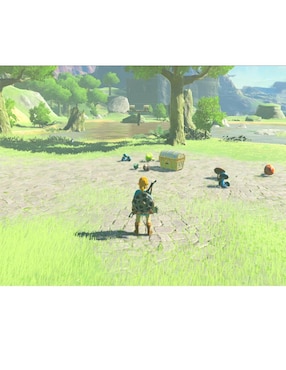 The Legend Of Zelda Botw estándar para nintendo switch
