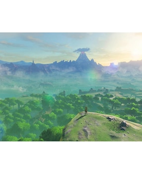 The Legend Of Zelda Botw estándar para nintendo switch