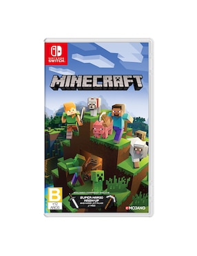 Minecraft Nintendo Switch