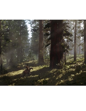 Red Dead Redemption 2 estándar para PS4