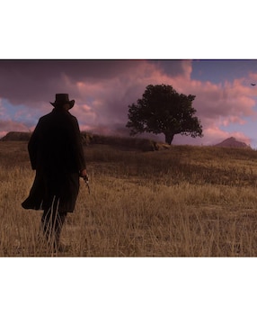Red Dead Redemption 2 estándar para PS4