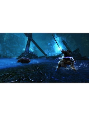Kingdoms Of Amalur Reckoning Nintendo definitive edition para Nintendo Switch
