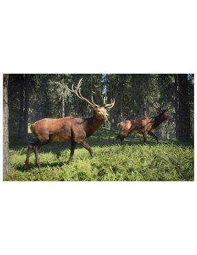 The Hunter Call Of The Wild Playstation estándar para PS4