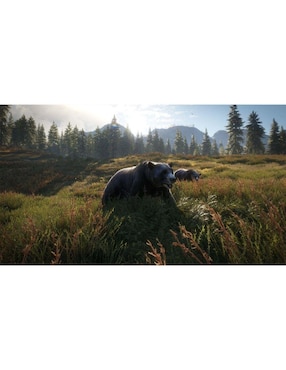 The Hunter Call Of The Wild Playstation estándar para PS4