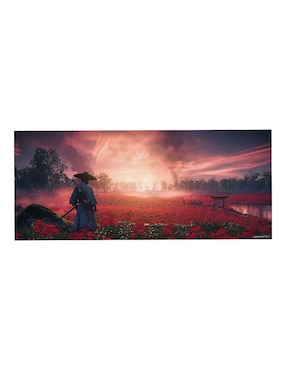 Ghost Of Tsushima Ps4 especial para PS4