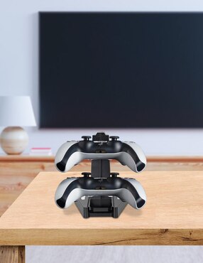 Cargador de control PS Techzone CA