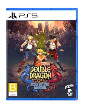 Double Dragon Gaiden: Rise Of The Dragons Para PS5 Físico