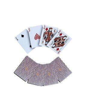 Card Shark Deck Bundle Nintendo Switch bundle para Nintendo Switch