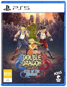 Double Dragon Gaiden Rise Of The Dragons Estándar Para PS5