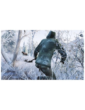 Hunting Simulator Playstation estándar para PS4