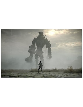 Shadow Of Colossus Playstation estándar para PS4