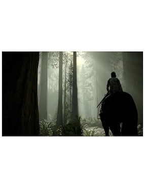 Shadow Of Colossus Playstation estándar para PS4