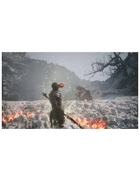 Black Myth Wukong Playstation estándar para PS5