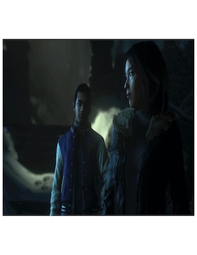 Until Dawn Playstation especial para PS4