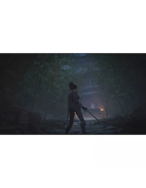 Wuchang: Fallen Feathers Playstation day one edition para PS5