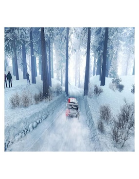 WRC Generations The Official Game Nintendo estándar para Nintendo Switch