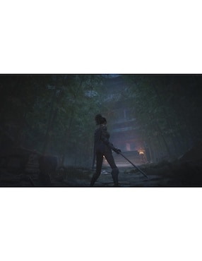 Wuchang: Fallen Feathers Playstation bundle para PS5
