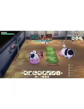 Story of Seasons Grand Bazaar Nintendo premium para Nintendo Switch 2