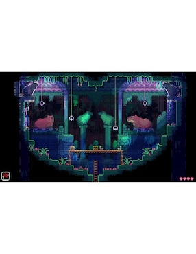 Animal Well para PS5