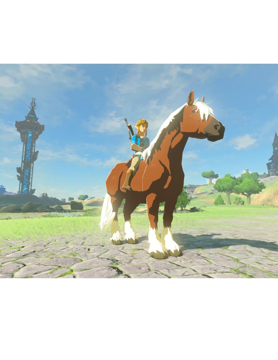 The Legend Of Zelda Botw estándar para switch 5