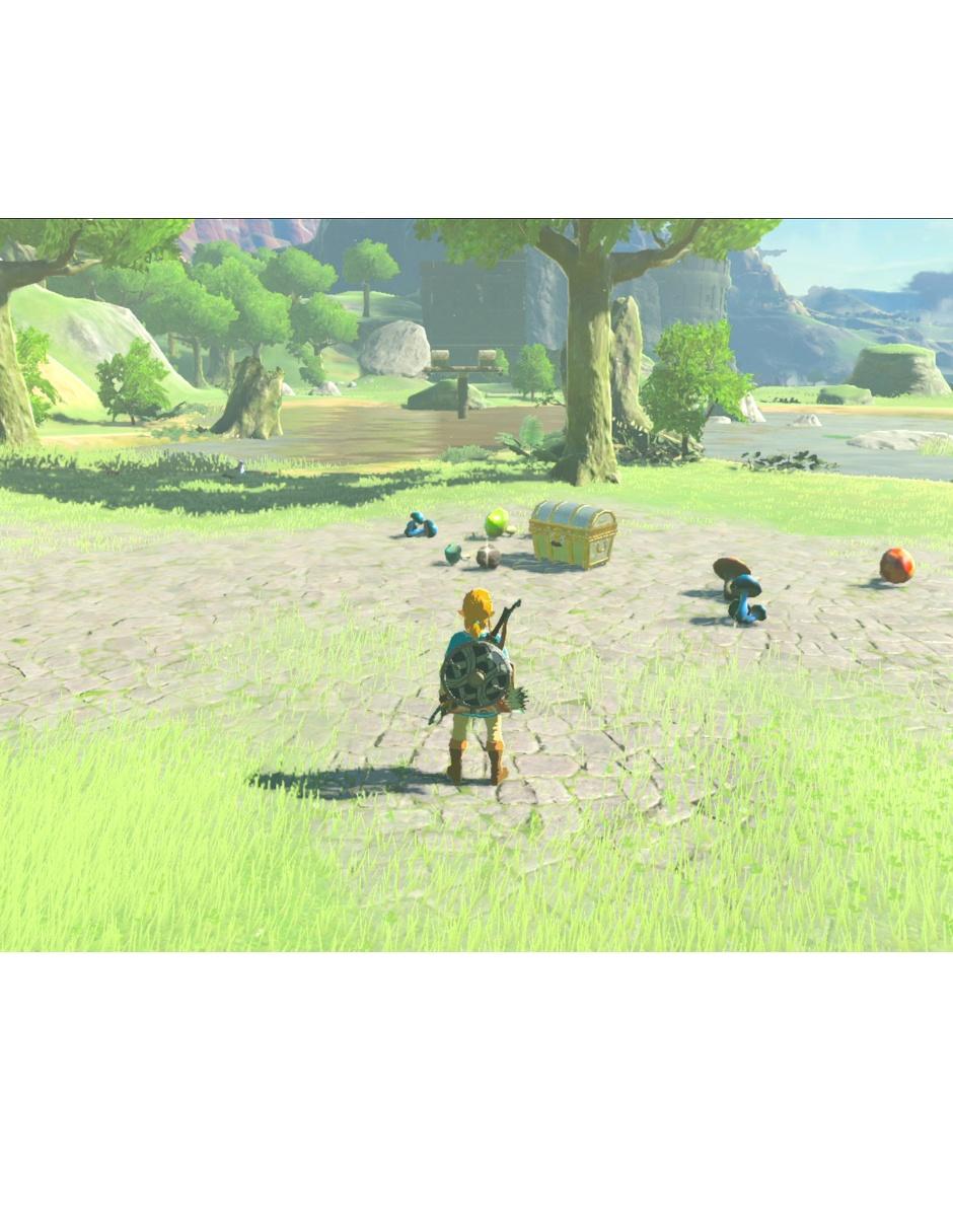The Legend Of Zelda Botw estándar para switch 8