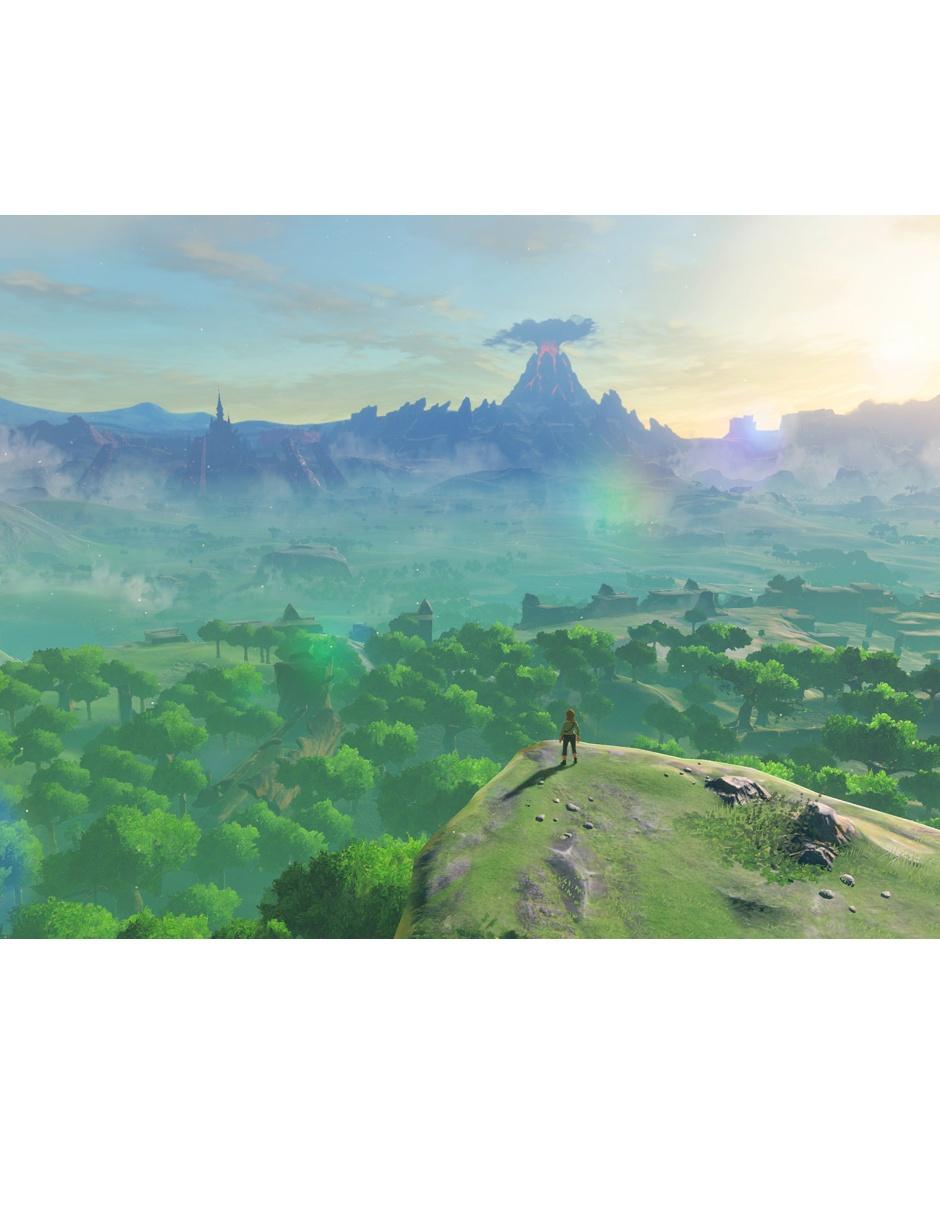 The Legend Of Zelda Botw estándar para switch 9