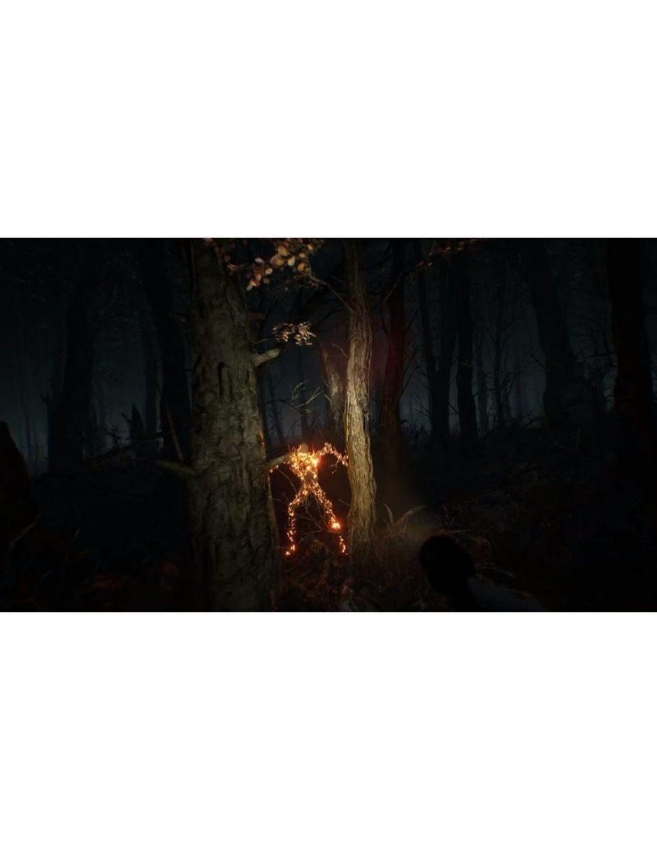 Blair Witch estándar para PS4 3