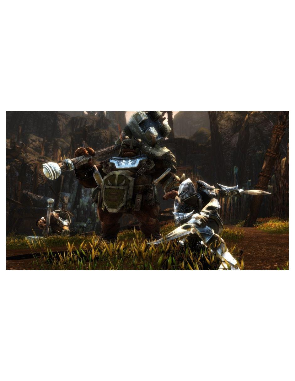 Kingdoms Of Amalur Reckoning definitive edition para Nintendo Switch 7