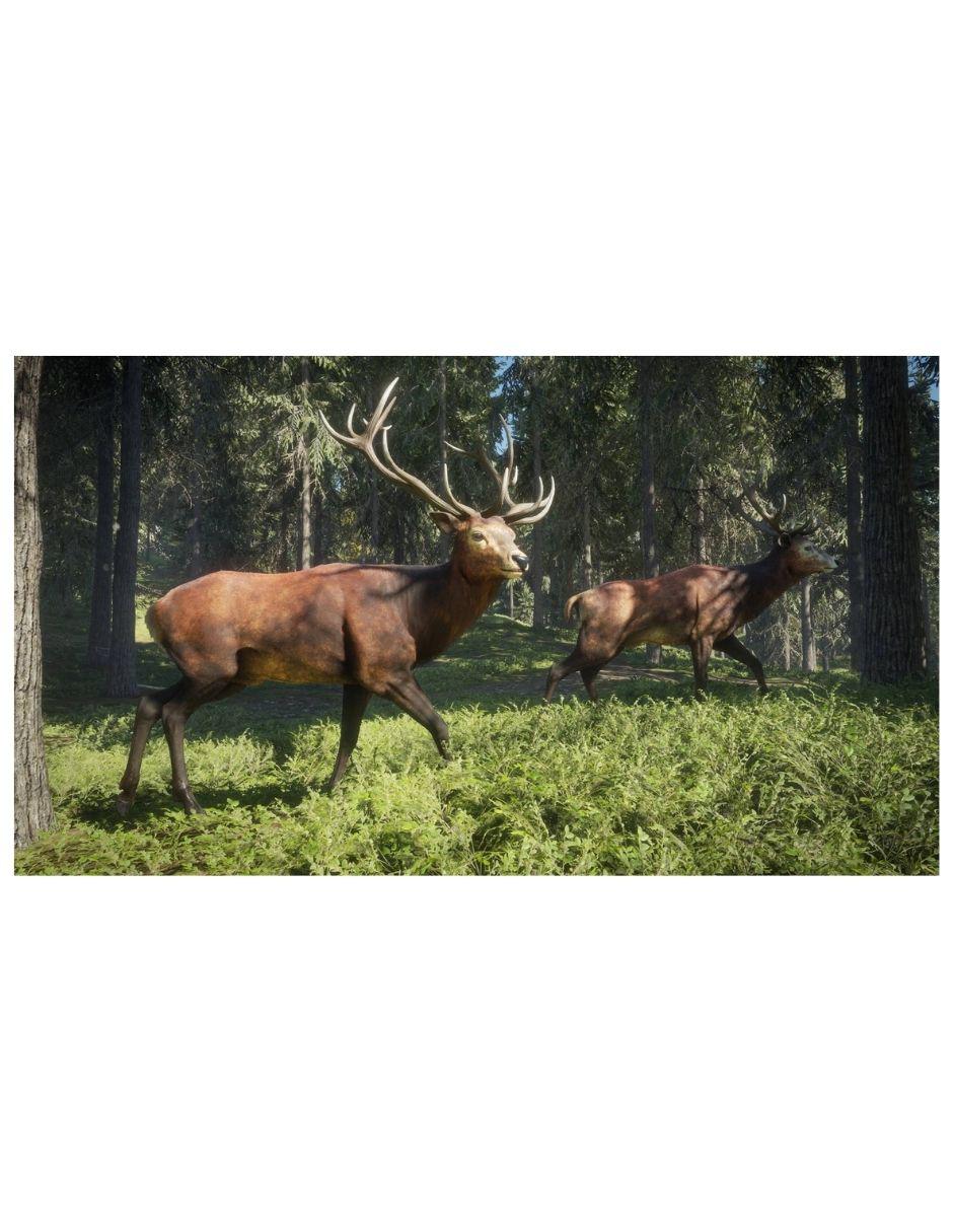 The Hunter Call Of The Wild estándar para PS4 2