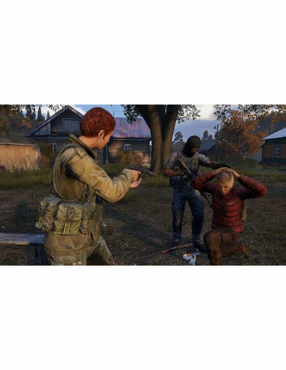 Dayz estándar para PS4 2