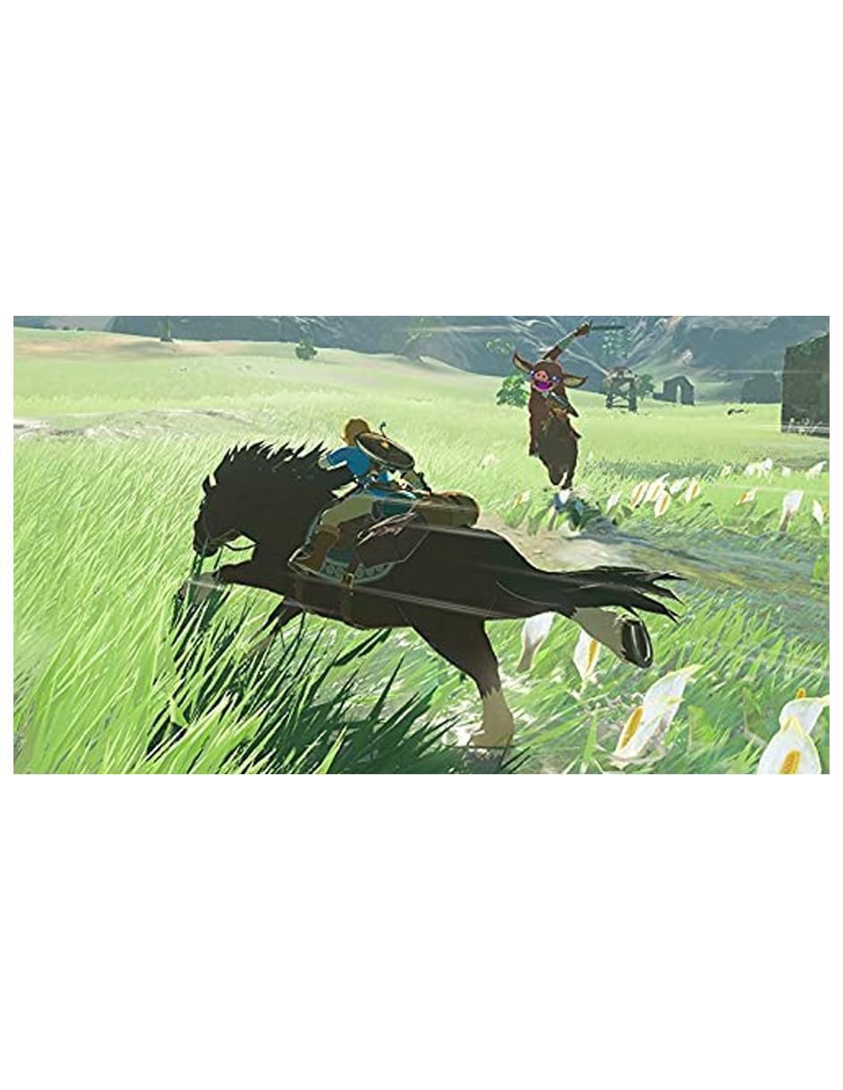 The Legend Of Zelda Breath Of The Wild estándar para Nintendo Switch 3