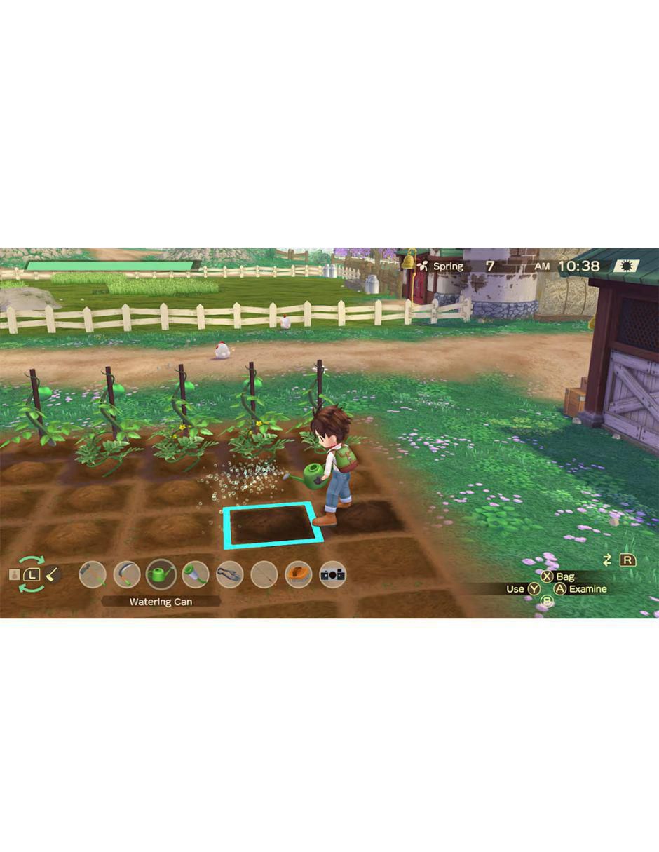 Story Of Seasons Wonderful estándar para Nintendo Switch 4