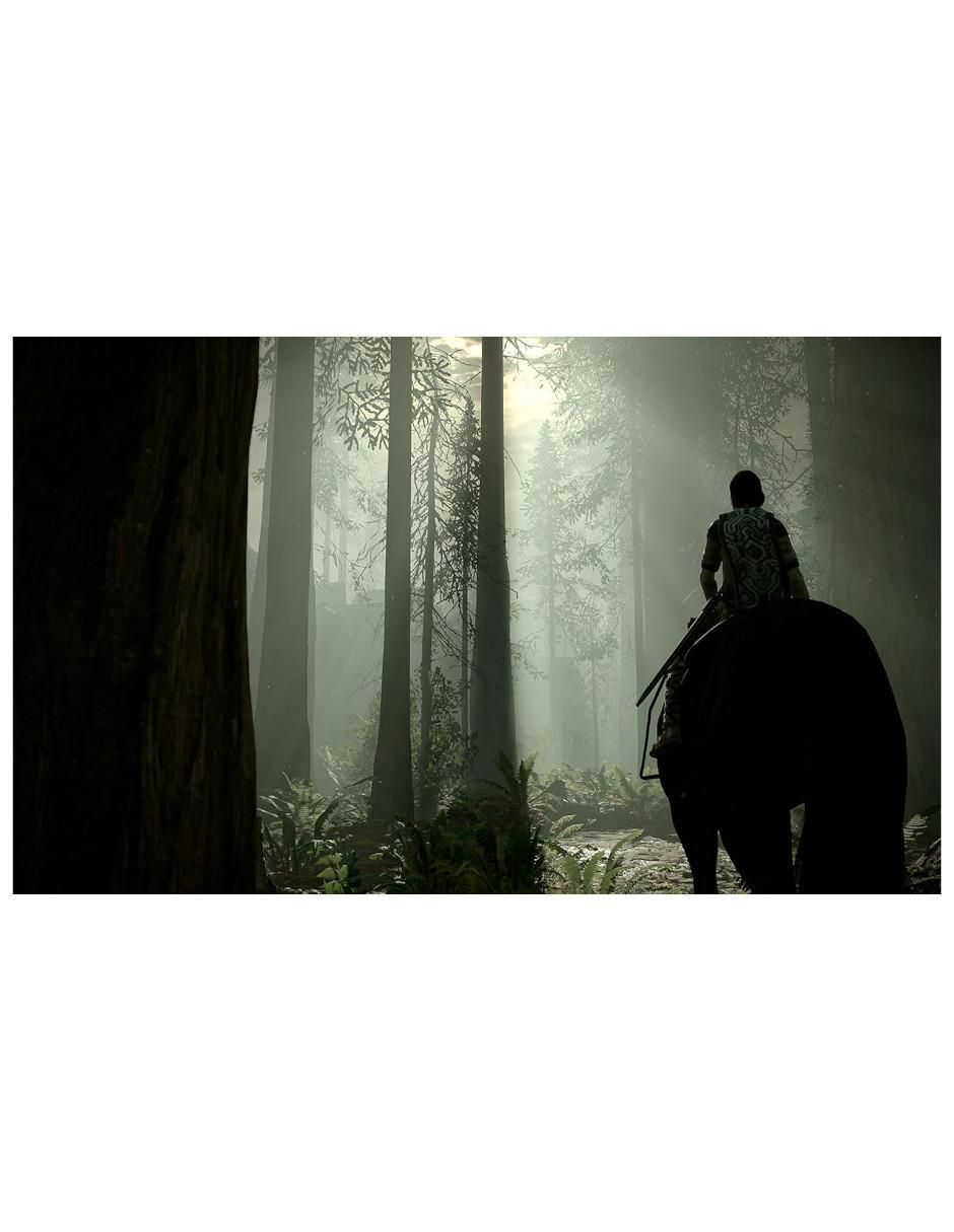 Shadow Of Colossus estándar para PS4 3