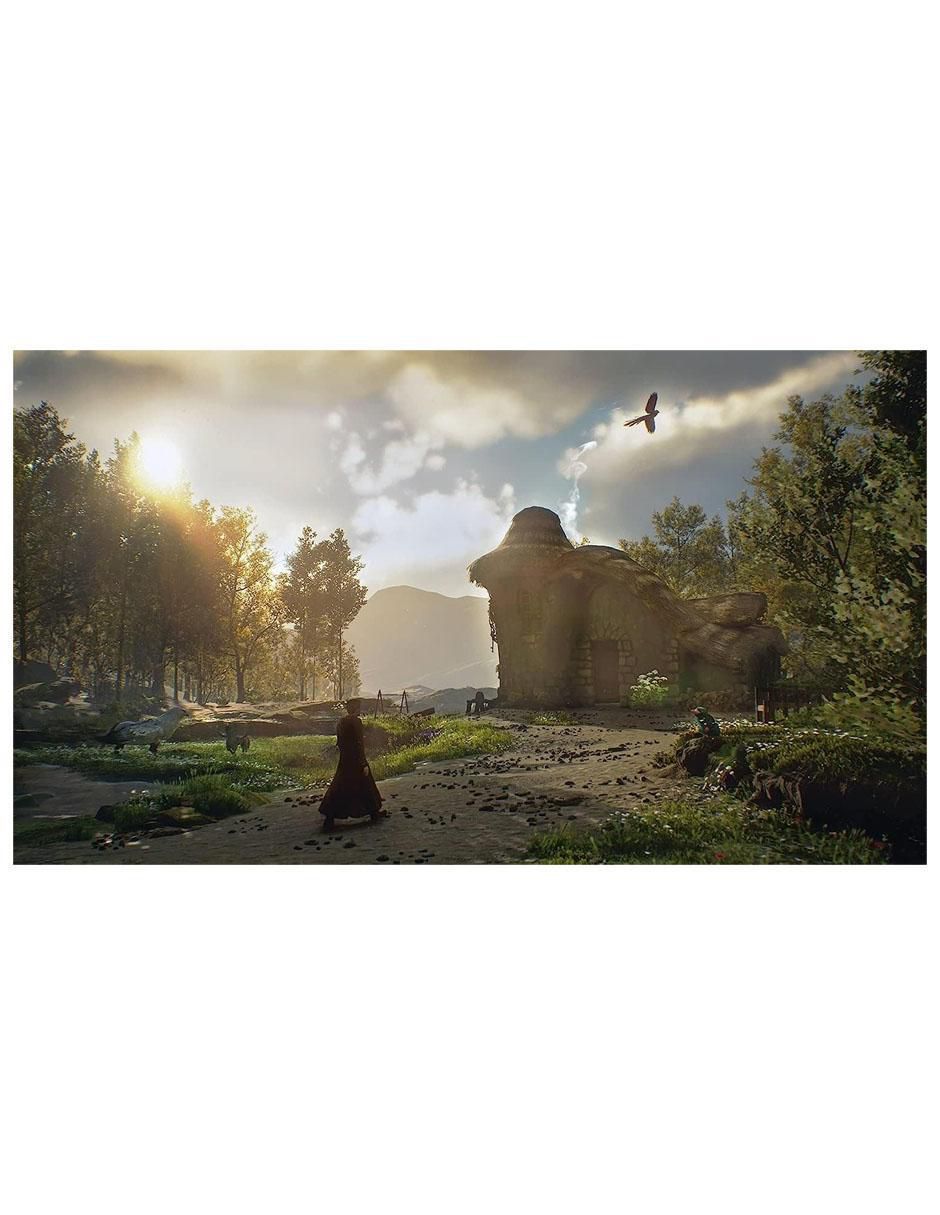 Hogwarts Legacy especial para PS5 2