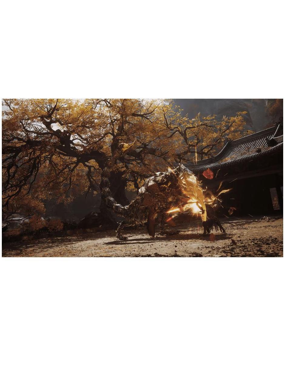 Black Myth Wukong estándar para PS5 3