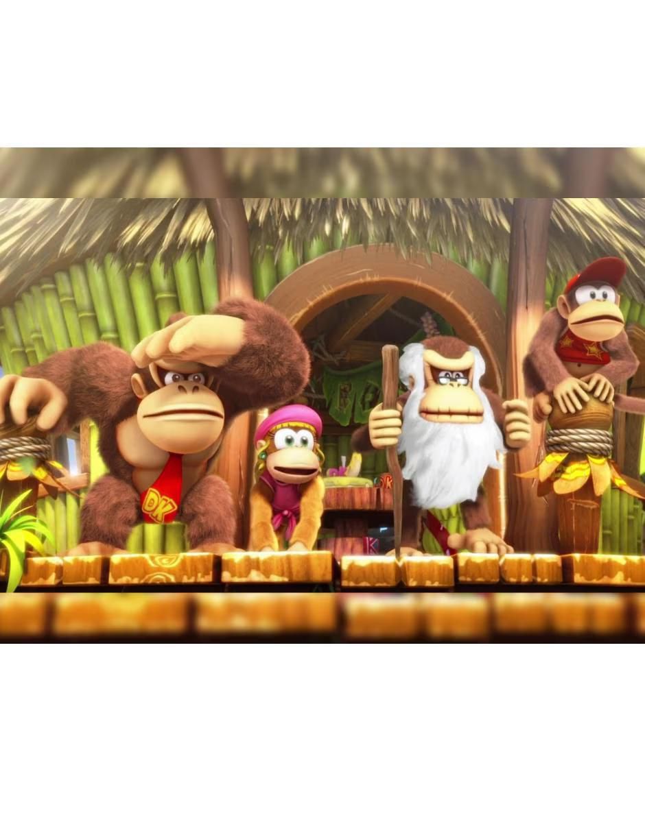 Donkey Kong Country Tropical bundle para Nintendo Switch 7