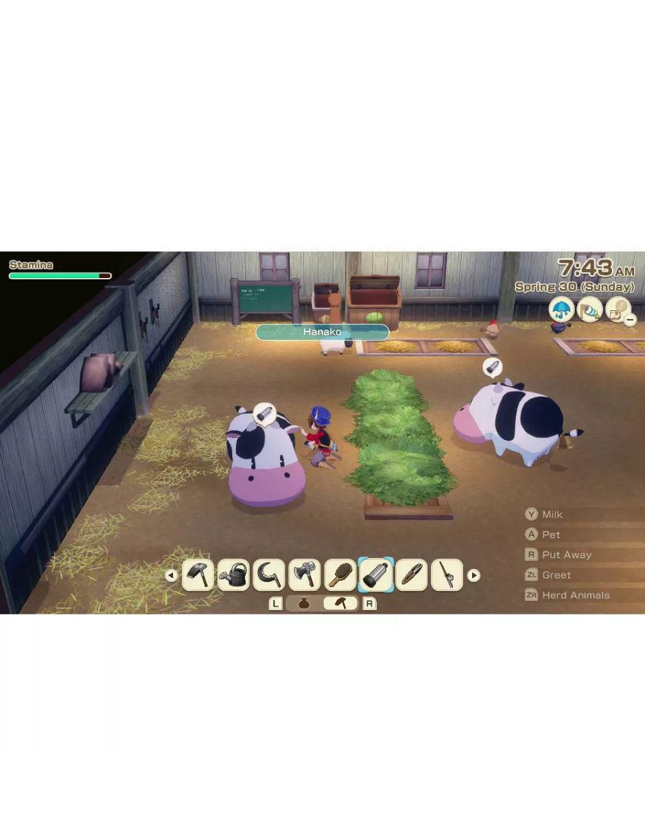 Story of Seasons Grand Bazaar Premium Edition NSW para Nintendo Switch 5