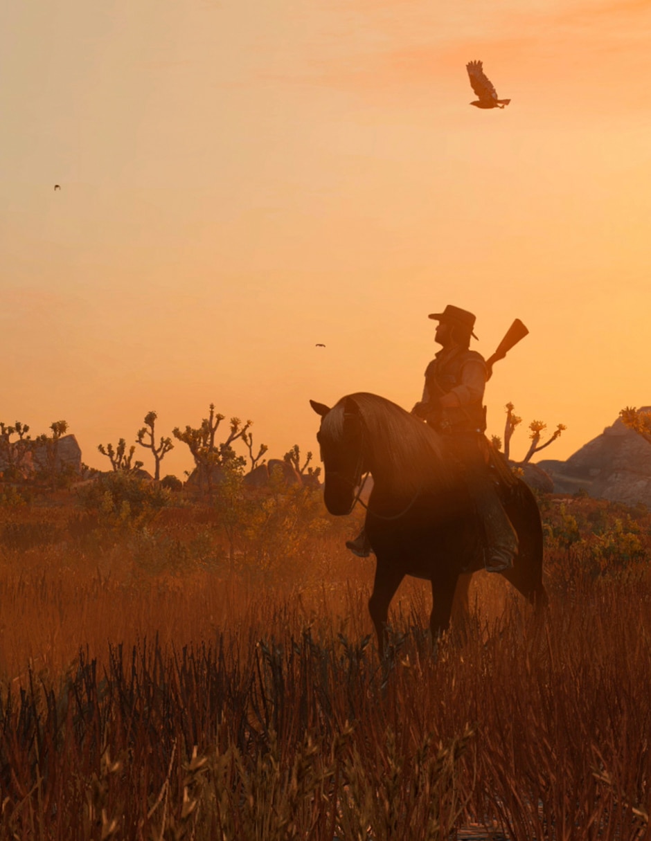 RED DEAD REDEMPTION estándar para Nintendo Switch 4